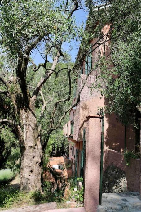Mas Thomasine Sejour Romantique Au Calme Peillon Exterior photo
